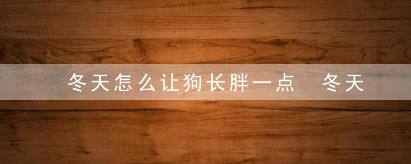 冬天怎么让狗长胖一点 冬天如何让狗长胖长膘